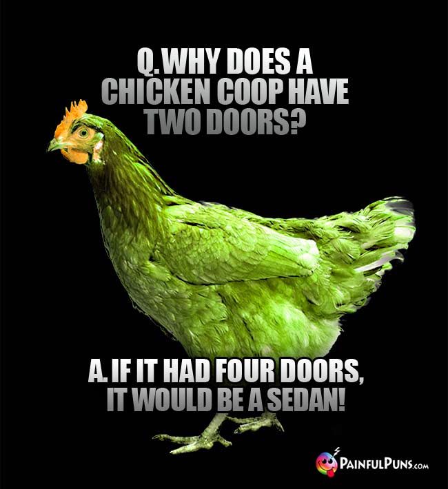 Q. Why does a chicken coop have two doors? A. If it had four doors, it would be a sedan!