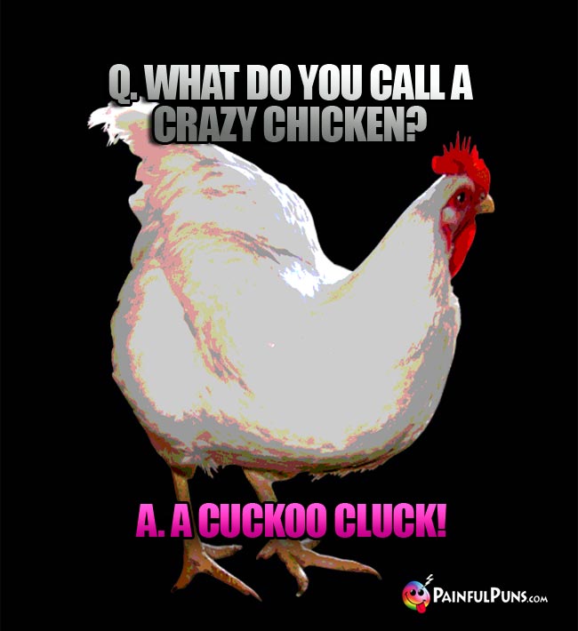 Q. What do you call a crazy chicken? A. A cuckoo cluck!