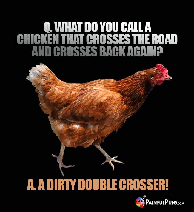 Why Did The Chicken Cross The Road Again Jokes