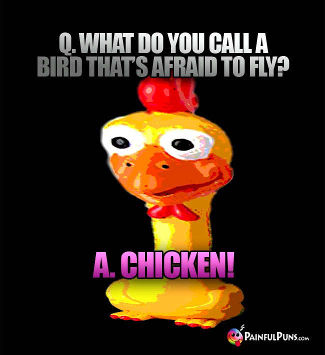 Q. What do you call a bird that's afraid to fly? A. Chicken!