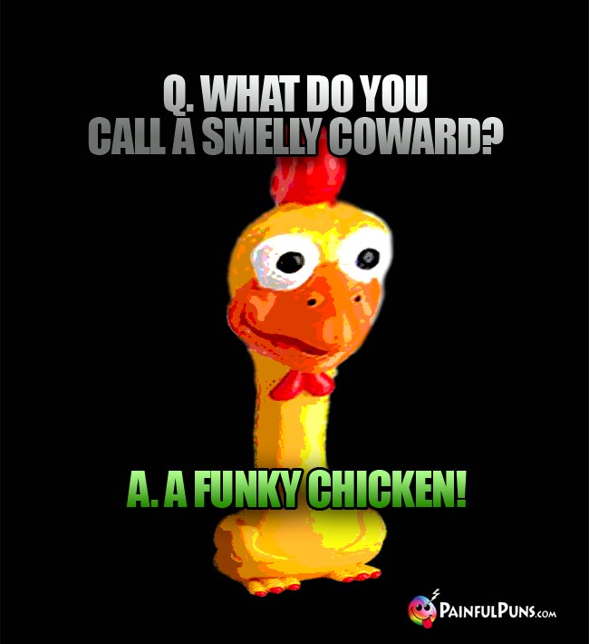 Q. What do you call a smelly coward? A. A funky chicken!