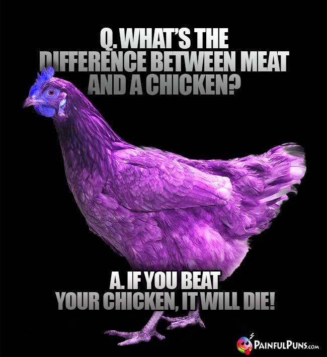 Q. What's the difference between meat and a chicken? A. If you beat your chicken, it will die!