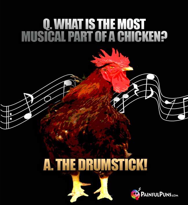 Q. What is the most musical part of a chicken? a. The drustick!