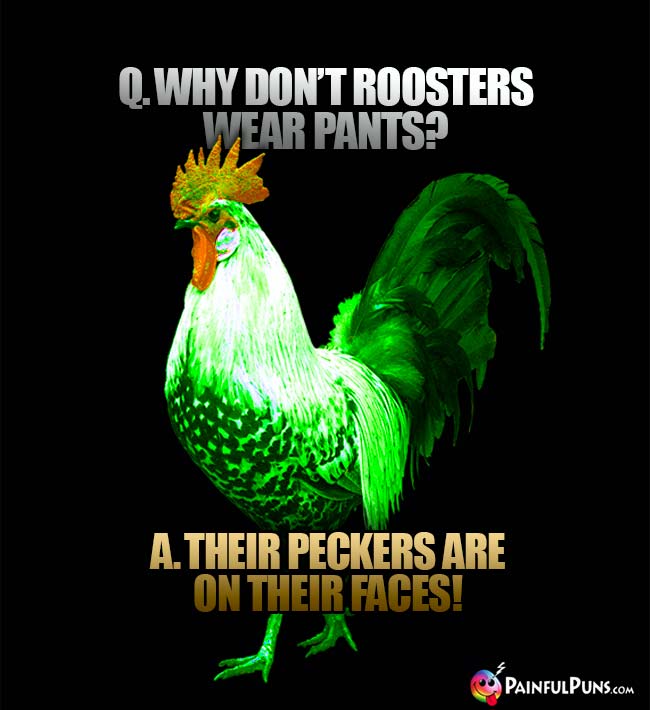 Q. Why don't roosters wear pants? A. Their peckers are on their faces!