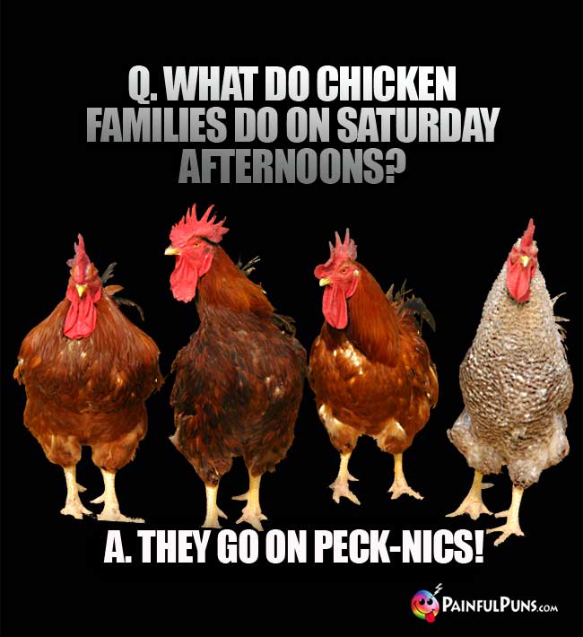 Q. What do chicken families do on Saturday afternoons? A. They go on peck-nics!