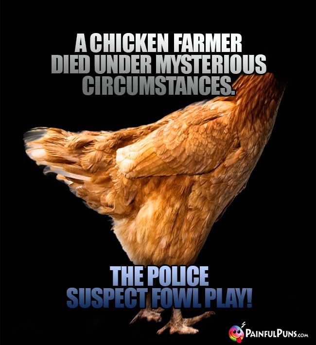 A chicken farmer died under mysterious circumstances. The police suspect fowl play!