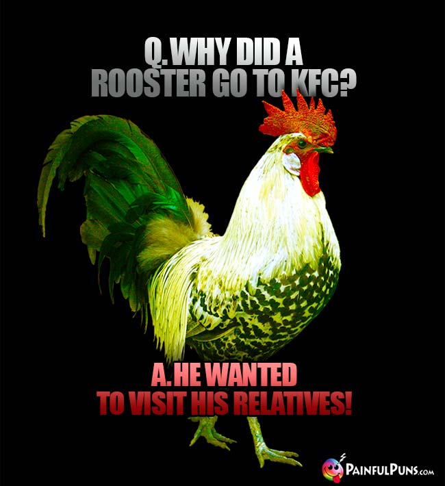 Q. Why did a rooster go to KFC? A. He wanted to visit his relatives!