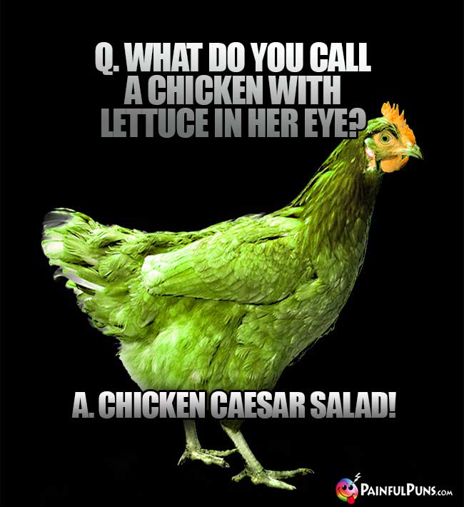 Q. What do you call a chicken with lettuce in her eye? A. Chicken Caesar Salad!