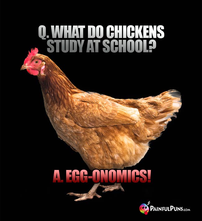Q. What do chickens study at school? A. Egg-onomics!