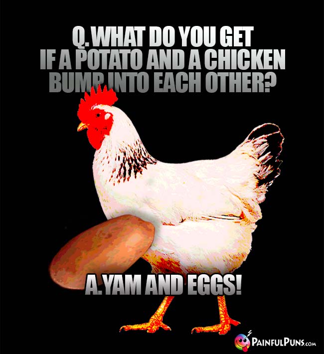 Q. What do you get if a potato and a chicken bump into each other? A. Yam and Eggs!