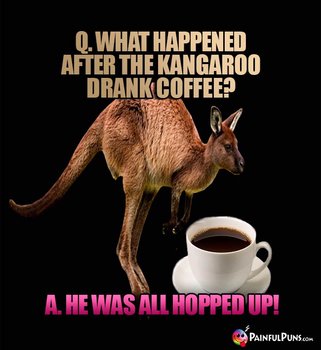 Q. What happened after the kangaroo drank coffee? A. He was all hopped up!