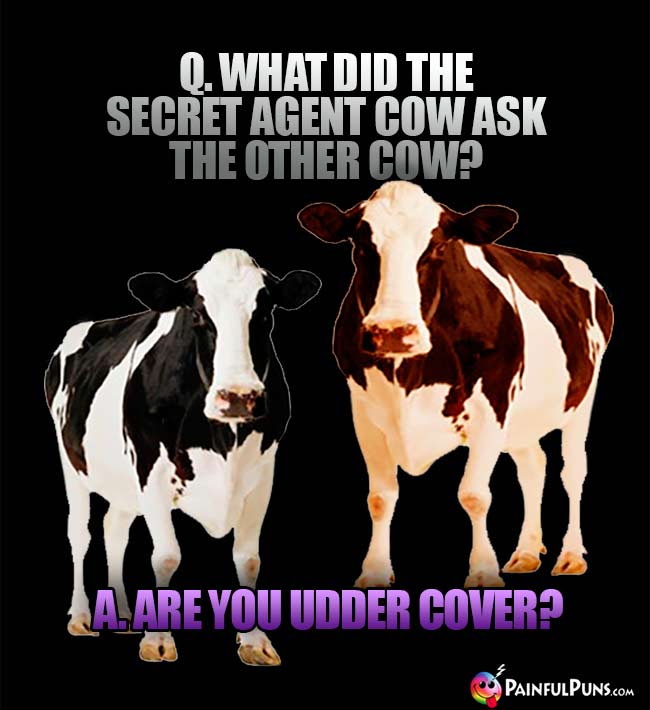 Q. What did the secret agent cow ask the other cow? A. Are you udder cover?