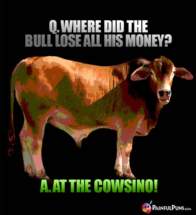 Q. Where did the bull lose all his money? A. At teh cowsino!