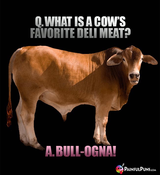 Q. What is a cow's favorite deli meat? A. Bull-ogna!