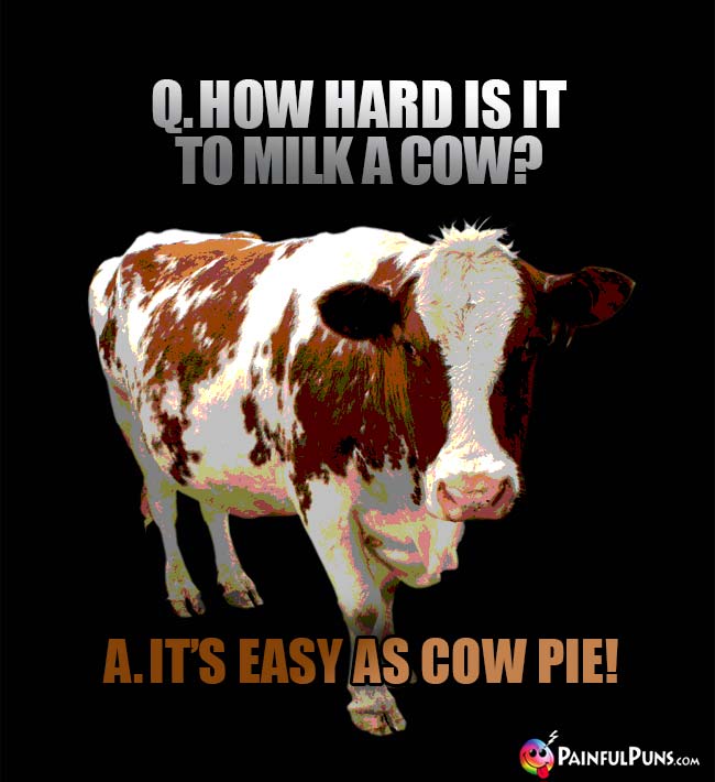 Q. How hard is it to milk a cow? A. It's easy as cow pie!