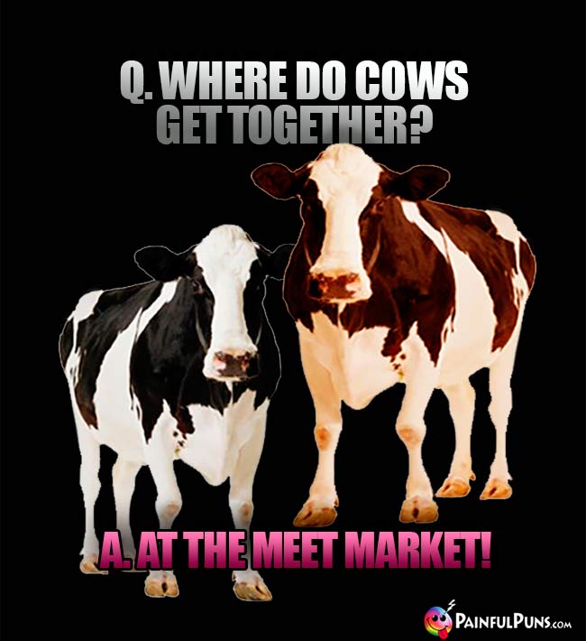 Q. Where do cows get together? A. At the meet market!