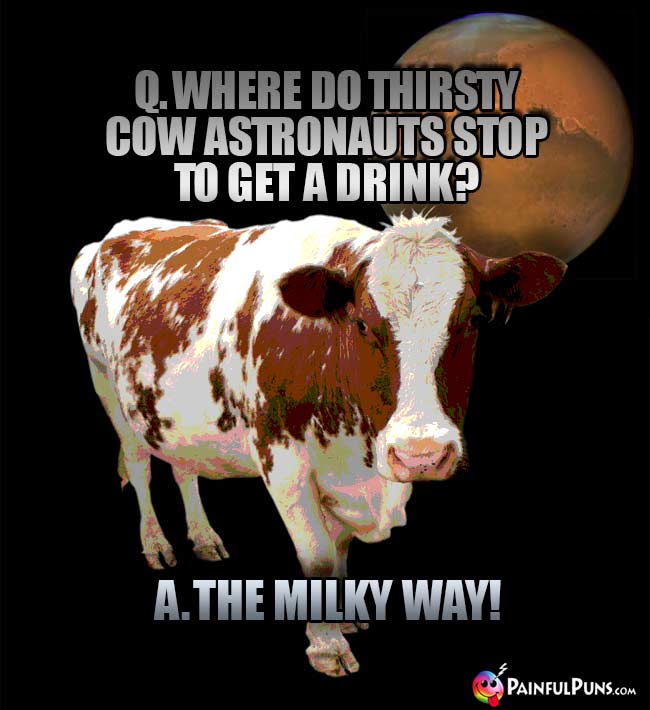 Q. Where do thirsty cow astronauts stop to get a drink? A. The Milky Way!