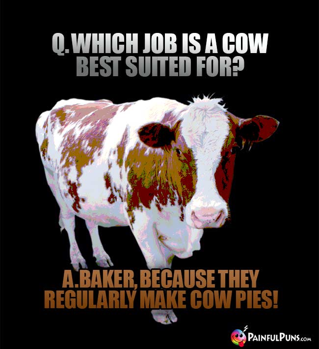 Q. Which job is a cow best suited for? A. Baker, because they refularly make cow pies!