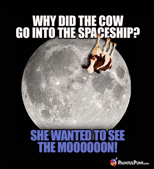 Why did the cow go into the spaceship? She wanted to see the Moooooon!