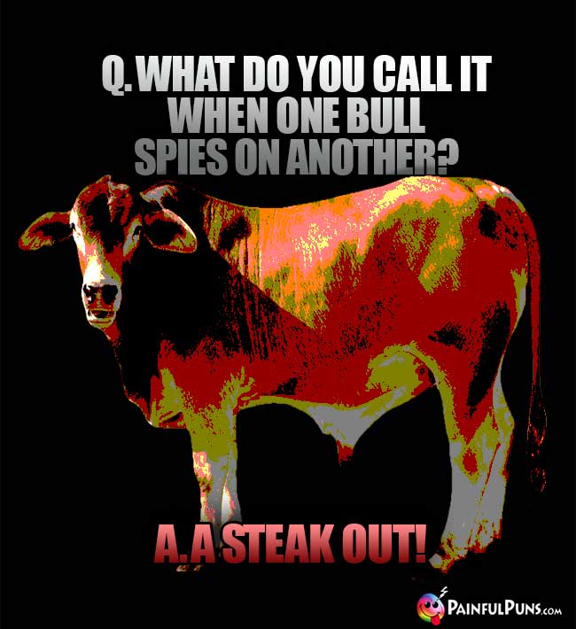 Q. What do you call it when one bull spies on another? A. A steak out!