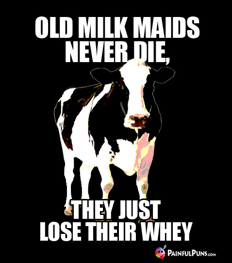 Cow Joke: Old milk maids never die, they just lose their whey.