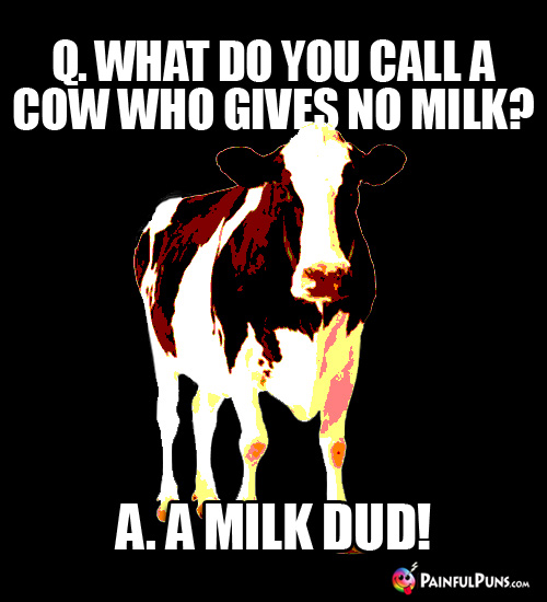 Q. What do you call a cow who gives no milk? A. A Milk Dud