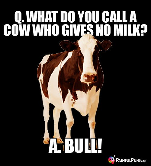 Q. What do you call a cow who gives no milk? A. A Bull