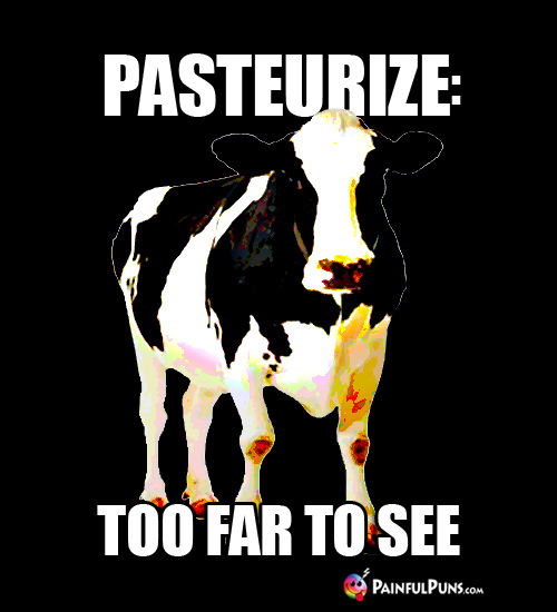 Cow Pun - Pasteurize: Too Far Too See
