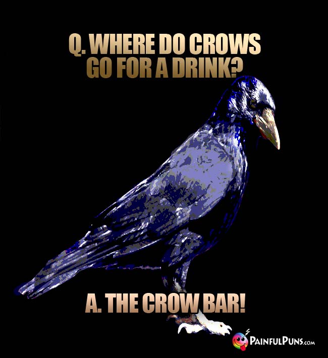 Q. Where do crows go for a drink? A. The Crow Bar!
