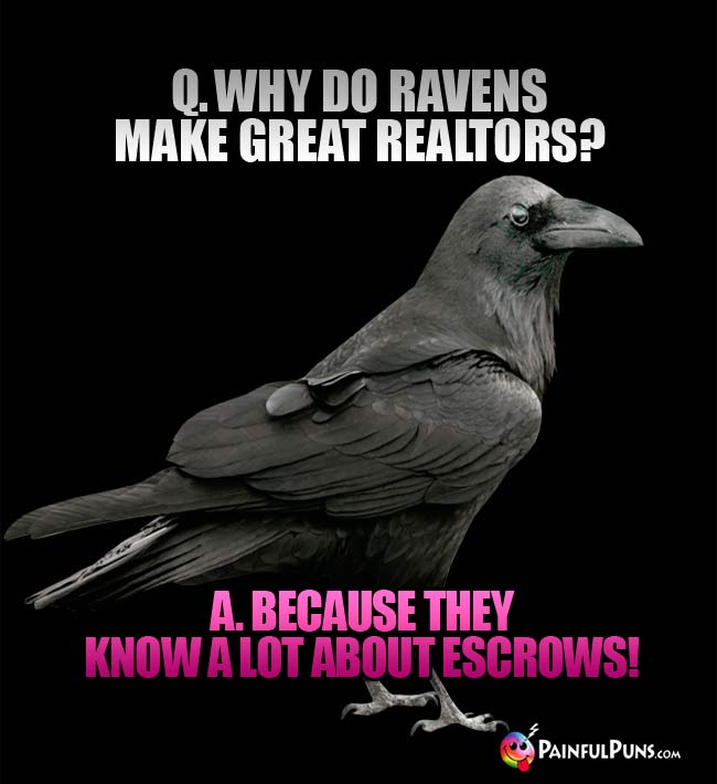 Q. Why do ravens make great realtors? A. because they know a lot about escrows!