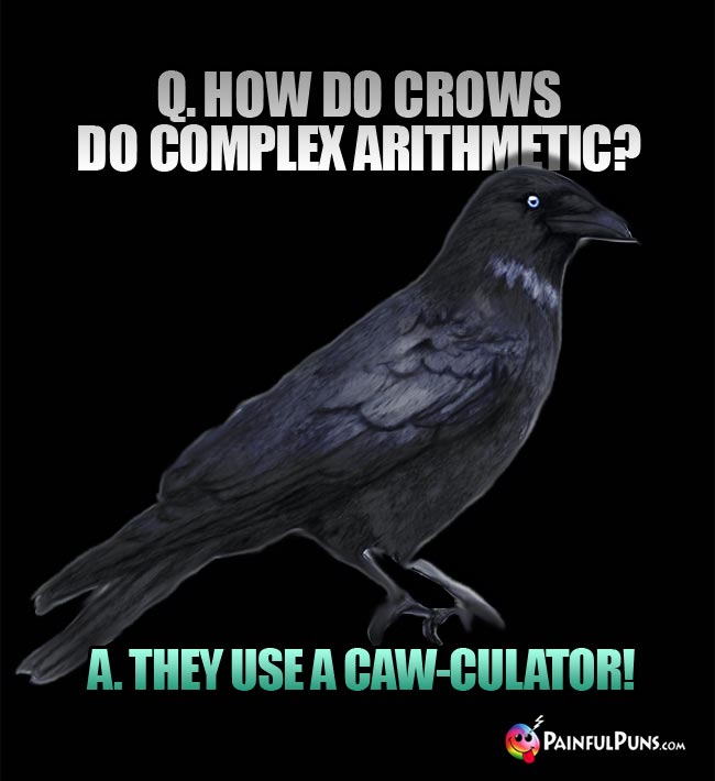 Q. How do crows do complex arithmetic? A. They use a caw-culator!
