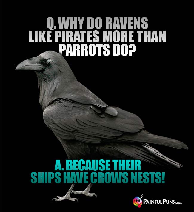 Q. Why do ravens like pirates more than parrots do? A. Because their ships have crows nests!