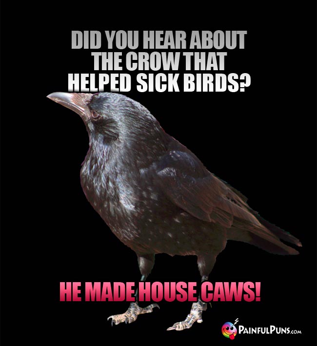 Did you hear about the crow tat helped sick birds? He made house caws!