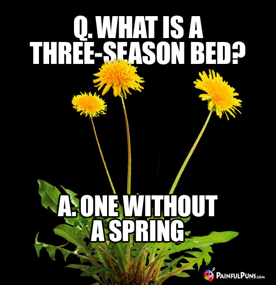 Q. What is a three-season bed? A. One without a spring.
