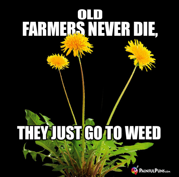 Old Farmers Never Die, They Just Go To Weed. 