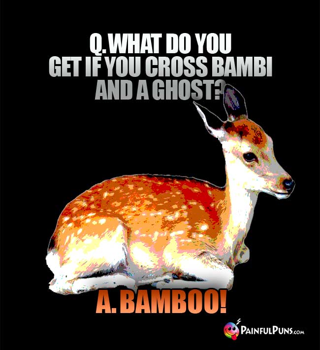 Q. What do you get if you cross bambi and a ghost? A. Bamboo!