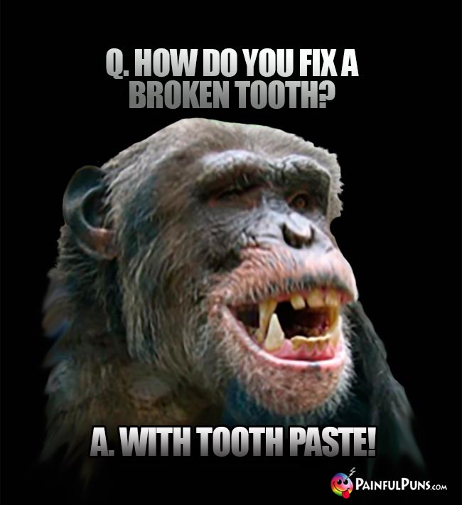 Q. How do you fix a broken tooth? A. With tooth paste!