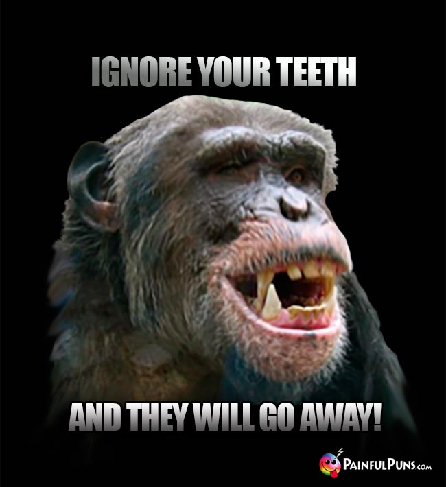 Chimp says: Ignore your teeth and they will go away!
