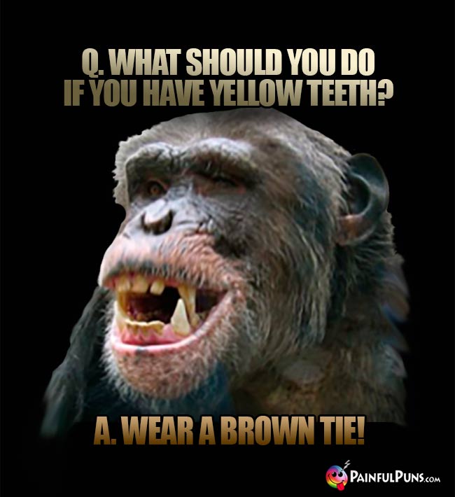 Q. What shold you do if you have yellow teeth? A. Wear a brown tie!
