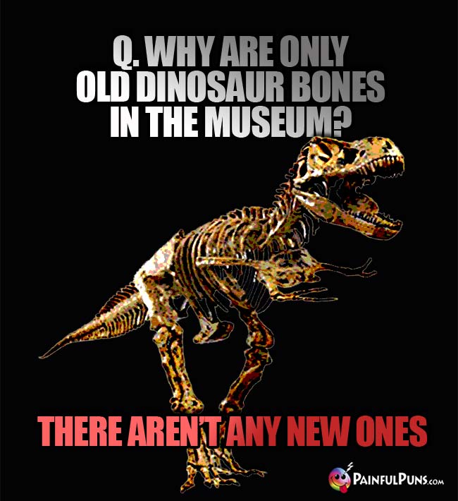 Q. Why are only old dinosaur bones in the museum? A. There aren't any new ones.