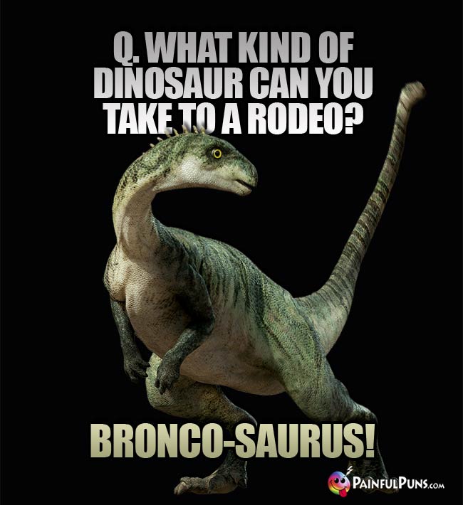 Q. What kind of dinosaur can you take to a rodeo? A. Bronco-saurus!