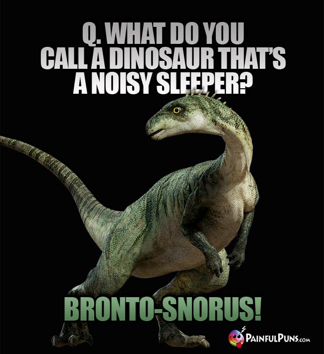 Q. What do you call a dinosaur that's a noisy sleeper? A. Bronto-snorus!