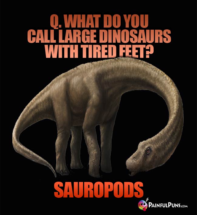 Q. What do you call large dinosaurs with tired feet? A. Sauropods. 