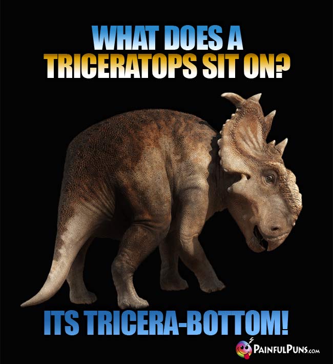 Q. What does a Tricertops sit on? A. Its Tricera-Bottom!