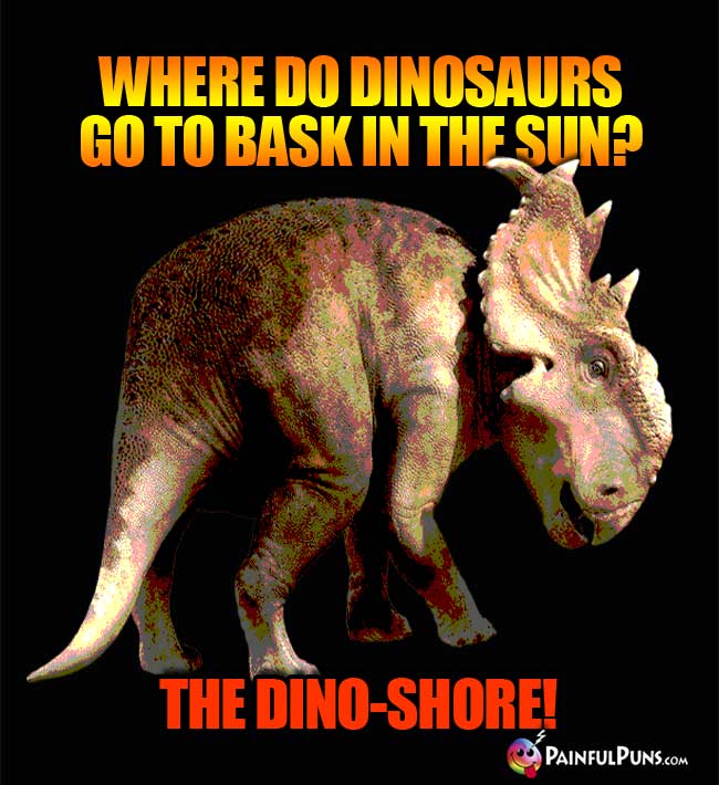 Q. Where do dinosaurs go to bask in the sun? A. The dino-shore!