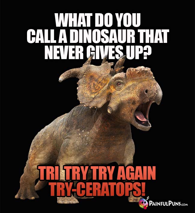 Q. what do you call a dinosaur that never gives up? A. The Try Try Again Try-ceratops!