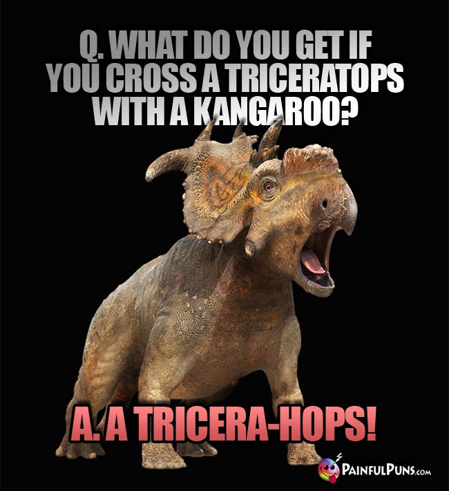 Q. What do you get if you cross a Triceratops with a kangaroo? a. a Tricera-Hops!