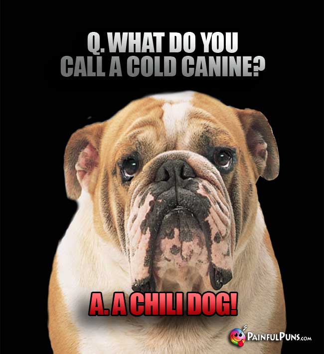 Q. What do you call a cold canine? A. A Chili Dog!
