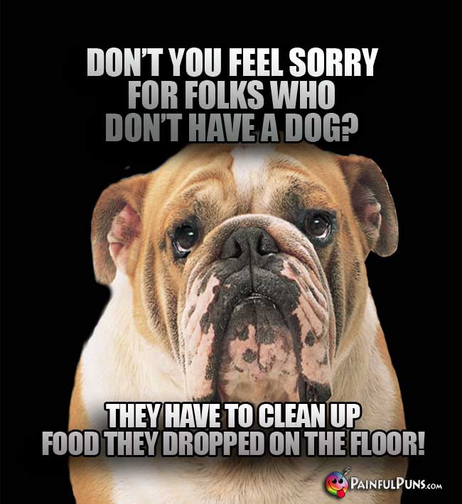 Don't you feel sorry for folks who don't have a dog? They have to clean up food they dropped on the floor!