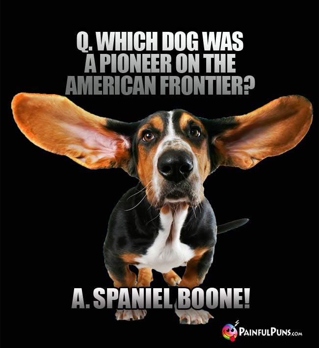 Q. Which dog was a pioneer on the American frontier? a. Spaniel Boone!
